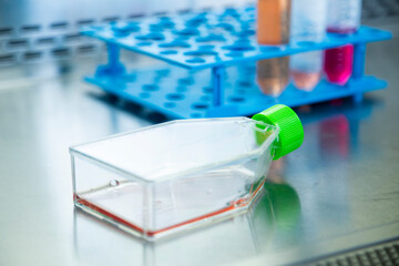 cell culture laboratory