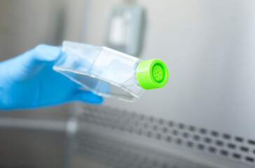 cell culture laboratory
