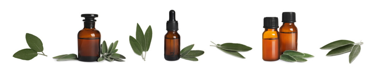 Set with bottles of essential sage oil and leaves on white background