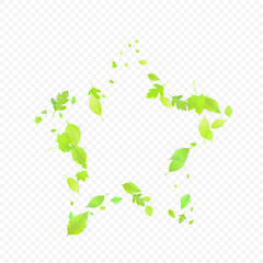 Fototapeta premium Leaves Falling Spring Flying Foliage Green Leaf