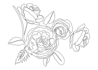 One continuous line of rose. Thin Line Illustration vector concept. Contour Drawing Creative ideas.