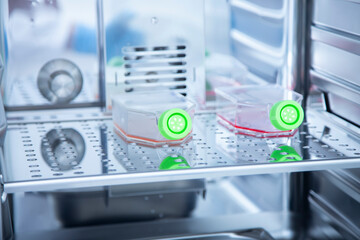 Cell culture laboratory