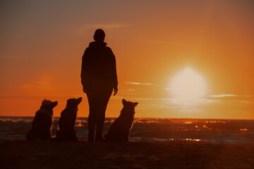 Silhouette of a girl with dogs at sunset