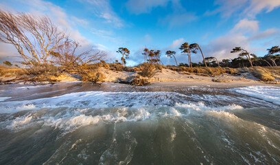 Fototapety na wymiar - Fototapeta24.pl