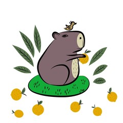 Capybara with oranges.  Isolate.