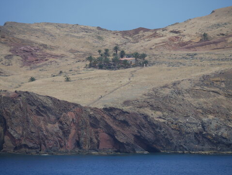 Oase am Hang auf Madeira