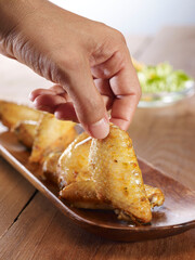 hand holding a piece of chicken