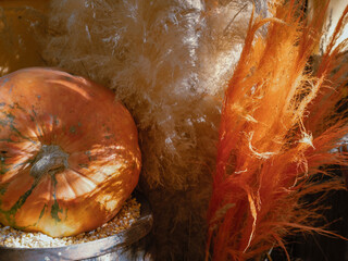 Pumpkin and the natyure in autumn scenario.