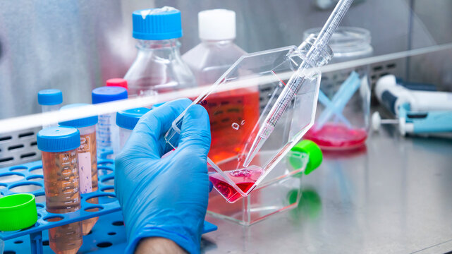 Cell culture laboratory 