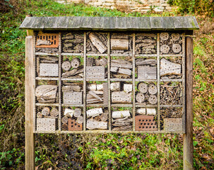Insektenhotel200123a