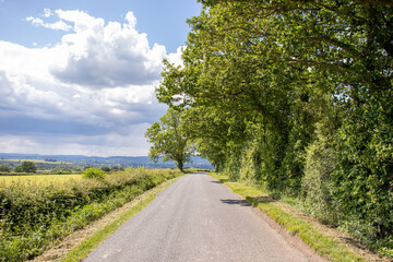 Fototapeta na wymiar Country lane in the summertime.