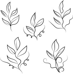 line vintage scroll items for ornate design