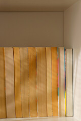 Bookshelf with books turned backwards and minimal decorations.