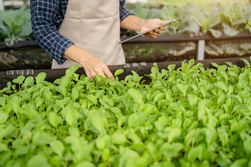 Farmers use the main information network in the internet from their tablets to monitor, test and select new crop methods for farmers.