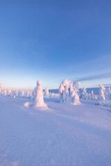 winter landscape with snow