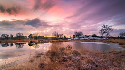 Gellener Torfmöörte - Moorhausen - Elsfleth