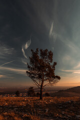 Fototapeta premium Beautiful landscape