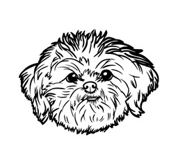 Puppy dog illustration. Doodle dog head and peeking line art design.