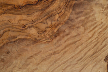 Olive wood texture background. Vintage wood. Surface of texture with natural pattern. Close up...