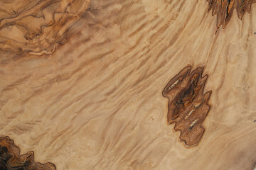 Olive wood texture background. Vintage wood. Surface of texture with natural pattern. Close up cross section of tree texture background.