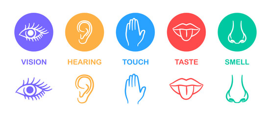 Set of five human senses. Hearing, taste, smell, sight and touch. Ear, mouth with tongue, nose, eye and hand. Vector