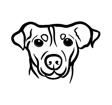 recommend clip art: Head of hunting dog.