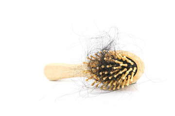 Hair loss stuck on the comb with white background concepts of hairloss problems or thin hair and scalp health.