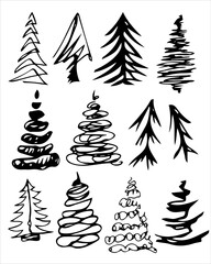 Obraz premium A set of coniferous trees hand-drawn. Spruce, pine. Vector hand-drawn doodles. Template design, clipart, logo, icon, sketch.