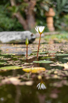 幸运28数字分析