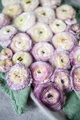 Ranunkel Blüten, Fatlay Frühling, Blume weiß lila