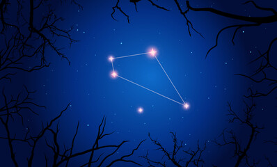 Vector illustration Sextans constellation. Tree branches, dark blue starry sky
