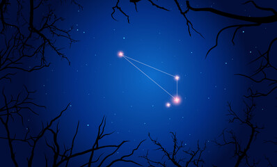 Vector illustration Octans constellation. Bright constellation in open space. Starry sky behind tree silhouette