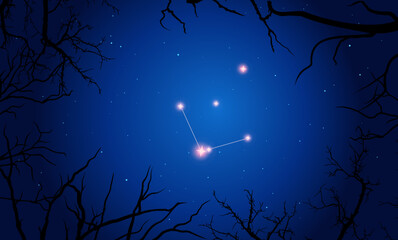 Vector illustration Norma constellation. Tree branches, dark blue starry sky