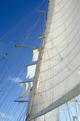 Obraz premium White sails and ropes of a sailing ship