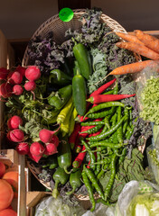 Group of various vegetables and as background. Agricultural products as a background. Healthy organic harvest vegetables as seasonal kitchen ingredients for sale at farmers market