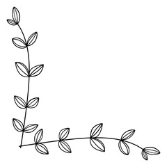 繊細な植物や花のボタニカルコーナーフレーム　ベクター素材