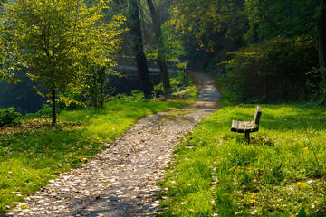 Fototapeta na wymiar Path in the park of Lambro valley, Brianza, Italy