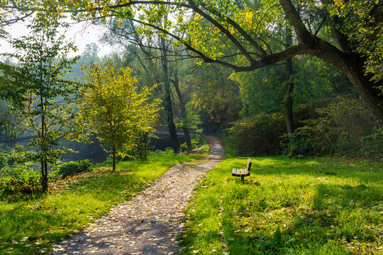 Path in the park of Lambro valley, Brianza, Italy