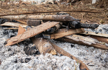 Firewood and ashes in an extinguished fire