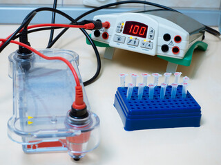 Set for DNA electrophoresis, molecular studies of DNA and viruses. Laboratory equipment of the...