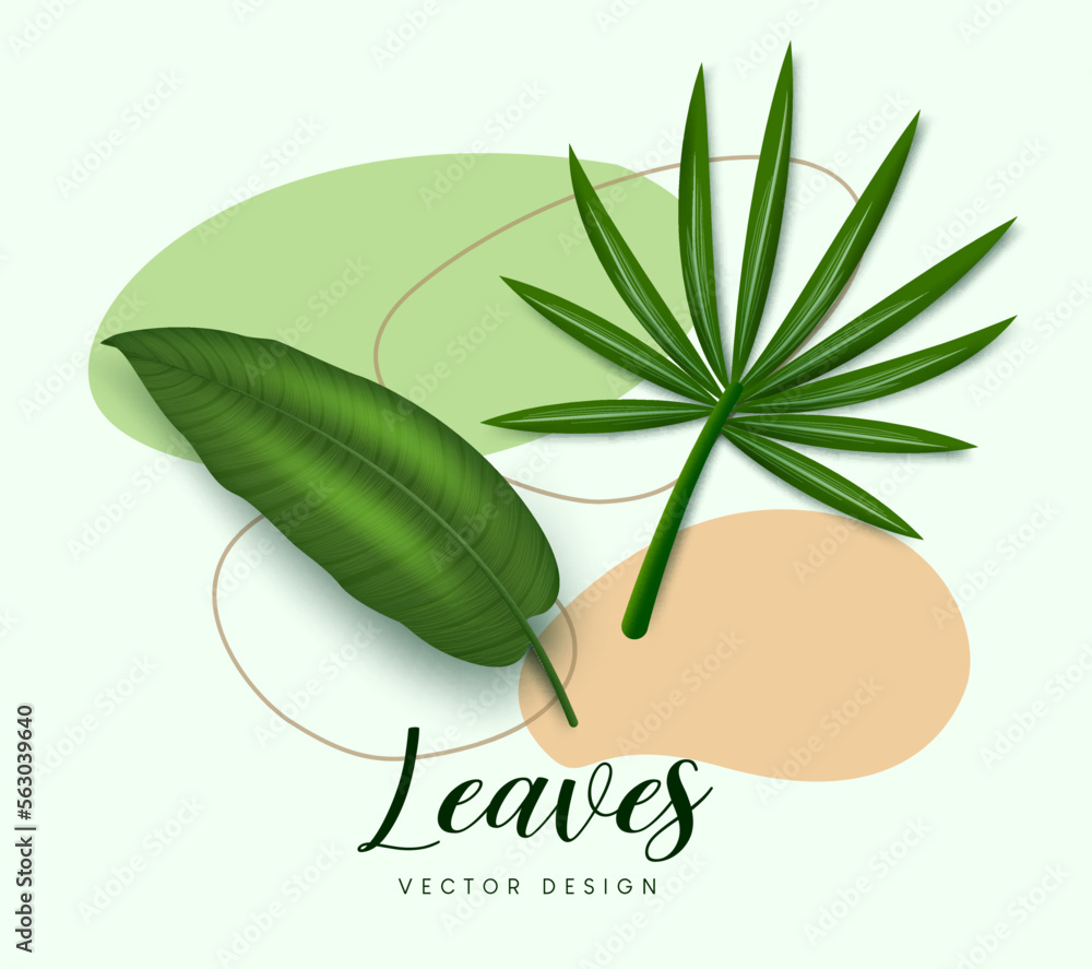 Poster leaves vector design. leaves vector text in colorful abstract background with green leaf elements. v