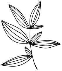 繊細な植物や花のボタニカルイラスト　ベクター素材