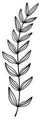 Obraz premium 繊細な植物や花のボタニカルイラスト ベクター素材