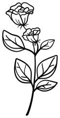 繊細な植物や花のボタニカルイラスト　ベクター素材