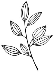 繊細な植物や花のボタニカルイラスト　ベクター素材