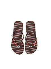 flip flops isolated on white