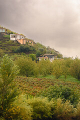 Obraz premium The beautiful landscape of the Douro Valley in Portugal and its unique architecture