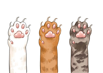 Three Cute cat paws with claw