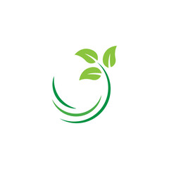 Stylized twig elements with leaves, Green leaf collection, Leaf icon vector isolated on white background. Various shapes of green leaves on trees and plants, floral elements 