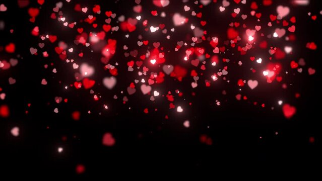 falling love heart pattern animation background